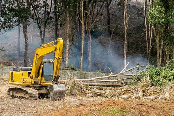 Staat Excavating